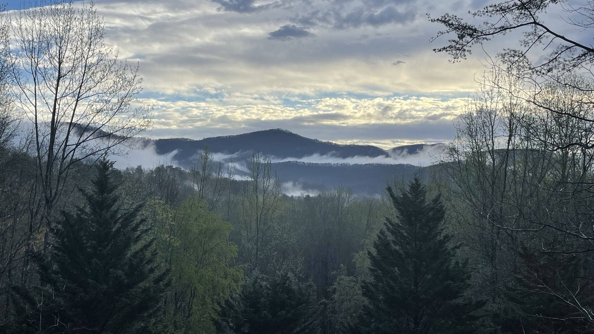 Dahlonega Cabin | Peaceful Mountain Getaway