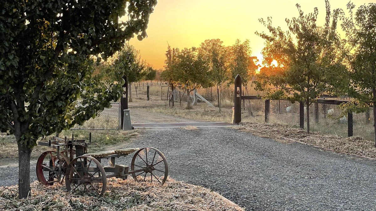 Benalla House | Peaceful & Picturesque Farm Stay Only 5 Mins Drive From Benalla Township