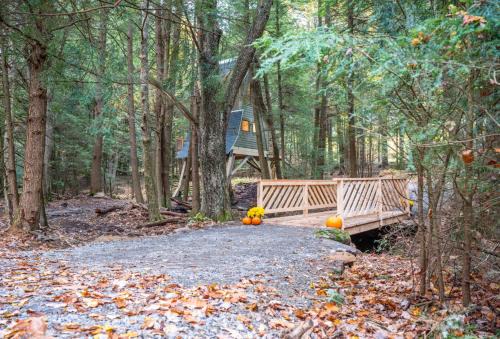 Tylersburg Other | Peaceful Pines Treehouse