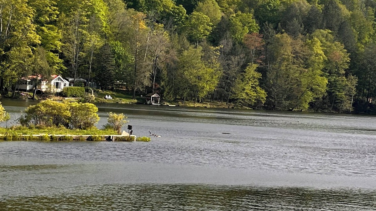 Susquehanna Cottage | Peaceful place to relax with family.No outdoor music allowed.