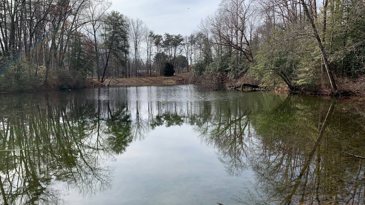 Oldhams Apartment | Peaceful Pond Retreat offers a home away from home!