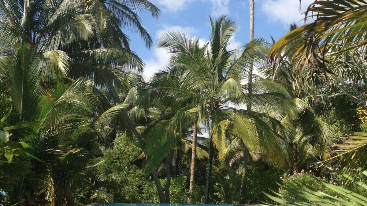 Medaketiya House | Peaceful position with a 13meter fresh water swimming pool