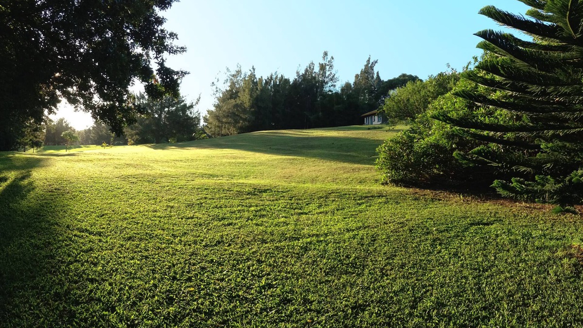 Pauwela Apartment | Peaceful & Private Studio - 12 Acre Hobby Organic Fruit Farm - Beach 10 minutes