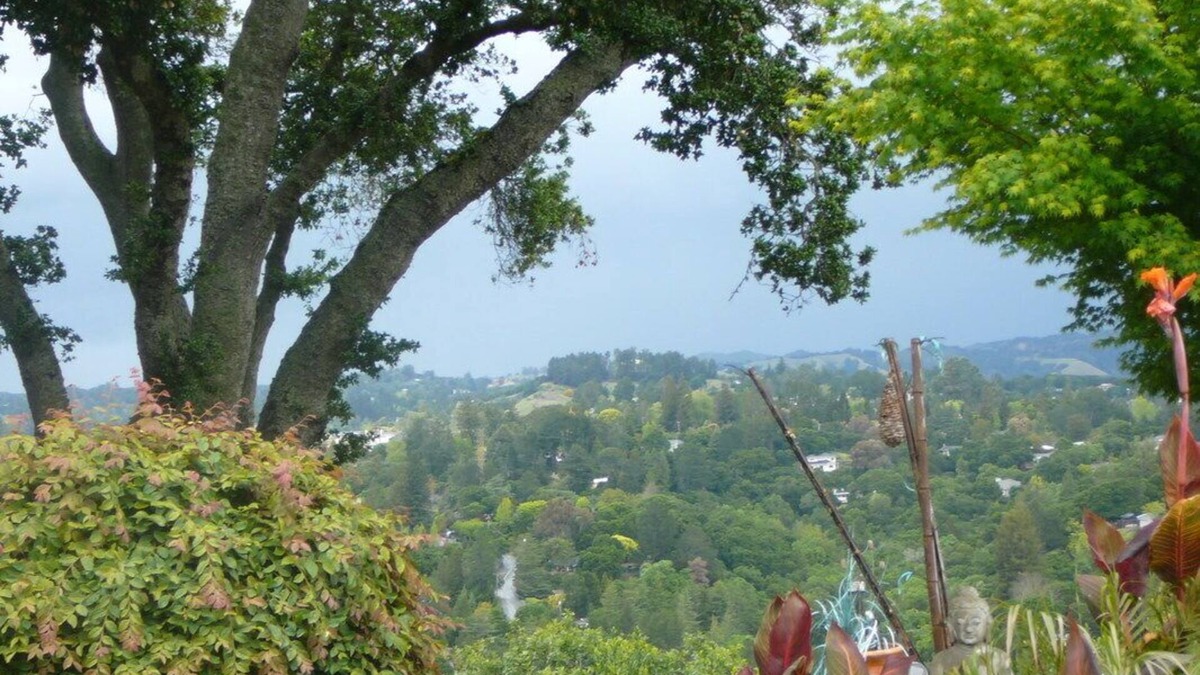 Orinda View Apartment | Peaceful, Quiet, Fully Furnished Studio. Mins to San Francisco, Berkeley, BART