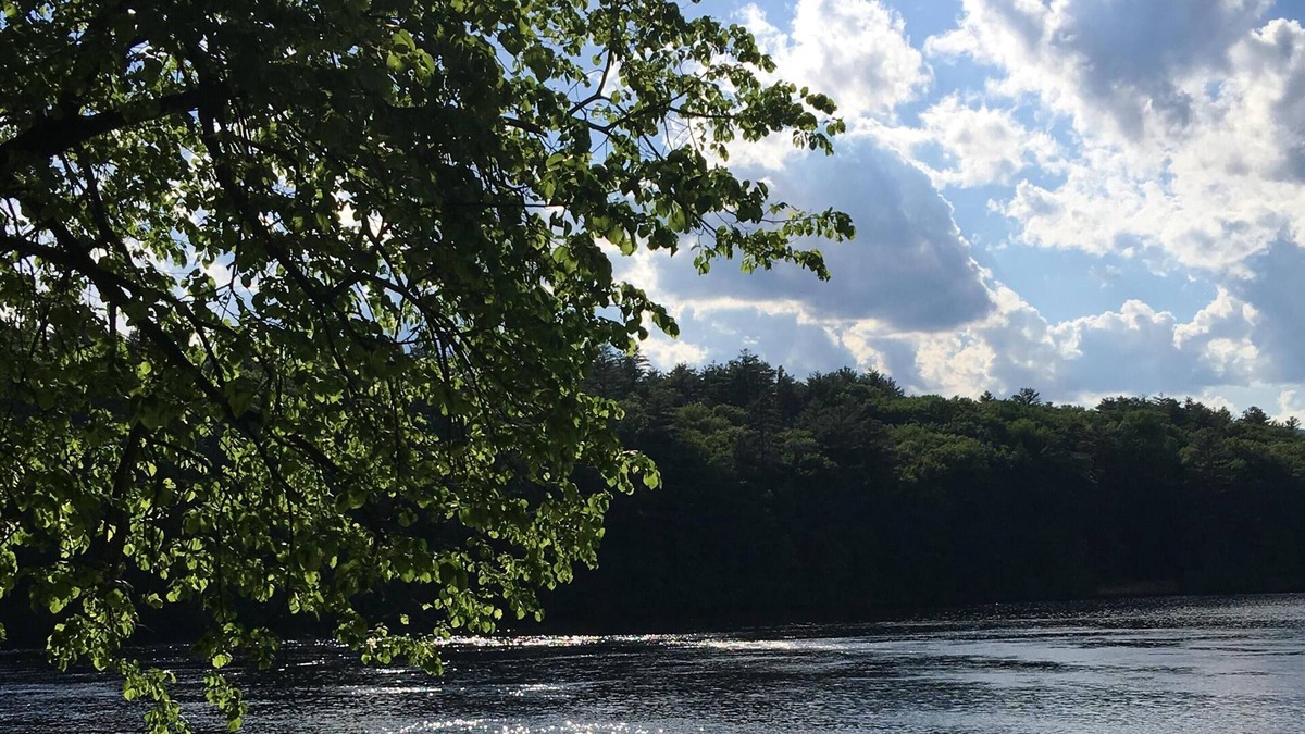 Lake Luzerne-Hadley Cabin | Peaceful Retreat in the Adirondacks
