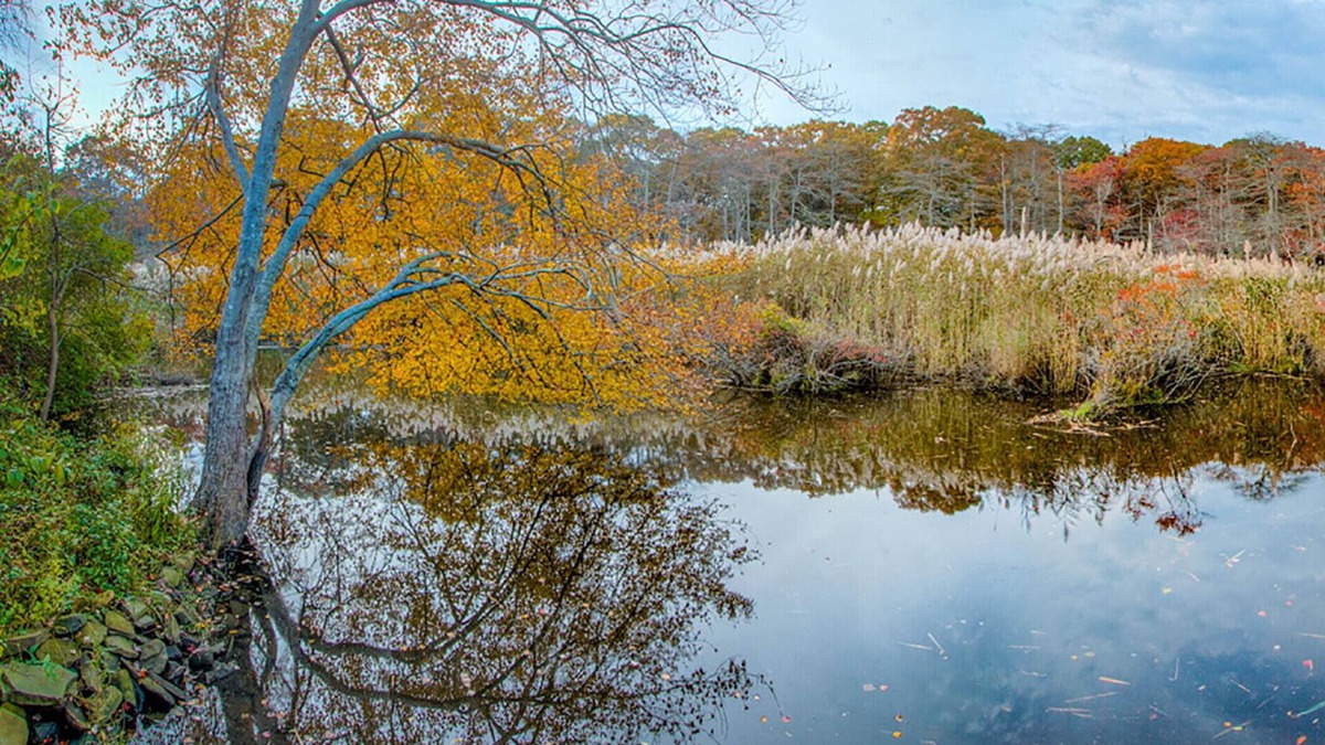 East Patchogue House | Peaceful Relaxation in a Quiet Neighborhood in the Heart of Long Island