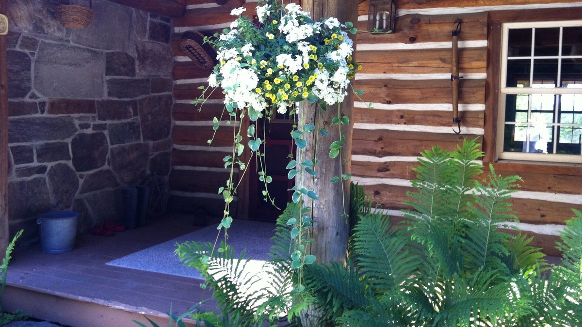 Clarendon Cabin | Peaceful Retreat surrounded by things to explore