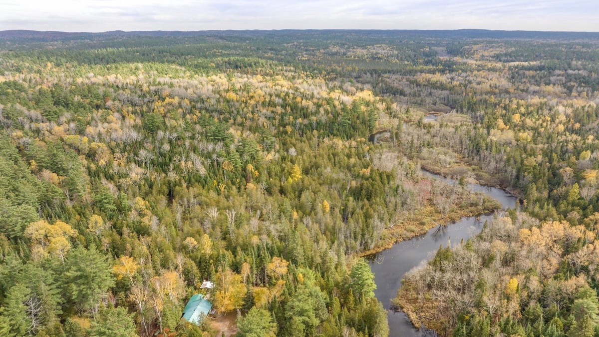 Bancroft Cottage | Peaceful Riverfront Cabin on 43 Private Acres