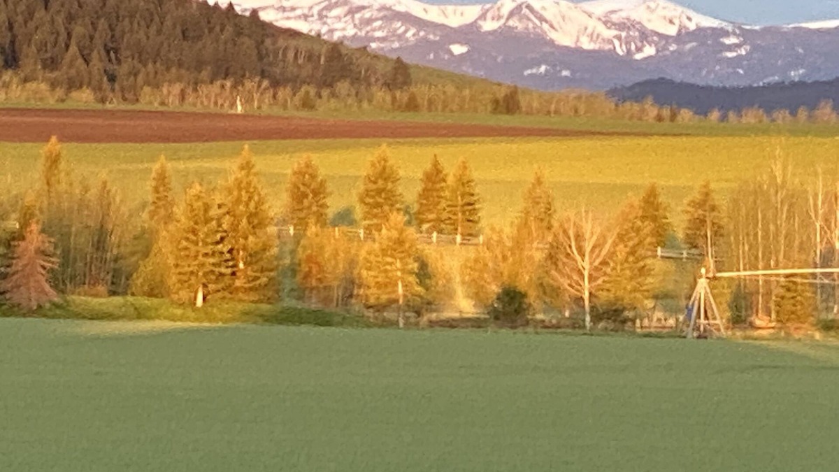 Bozeman Apartment | Peaceful Setting. Amazing Views! Close to DwnTwn & MSU