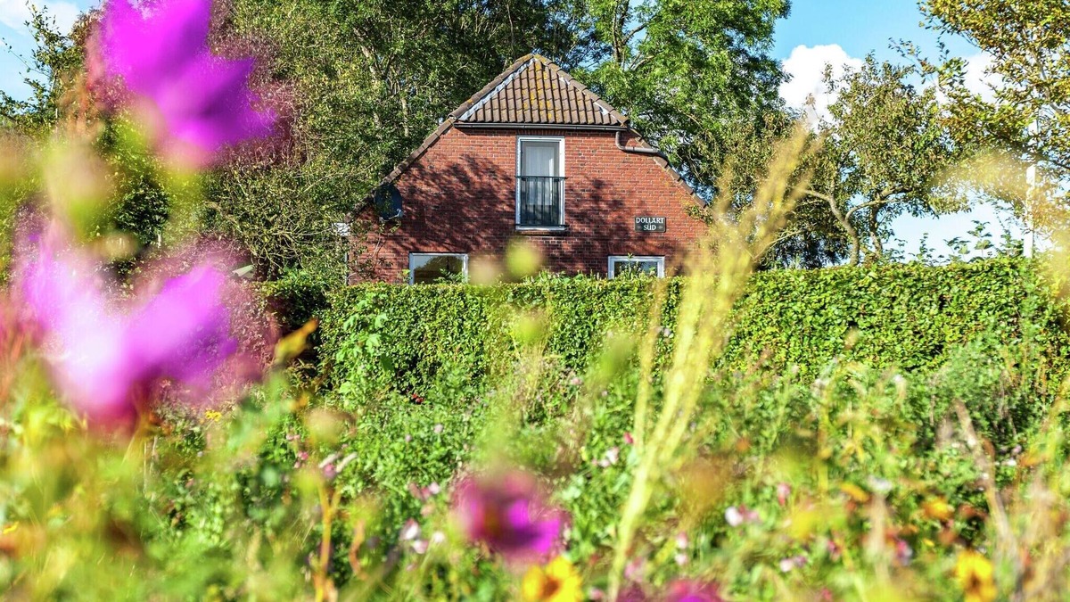 Municipality of Oldambt House | Peaceful vacation home with wide view.