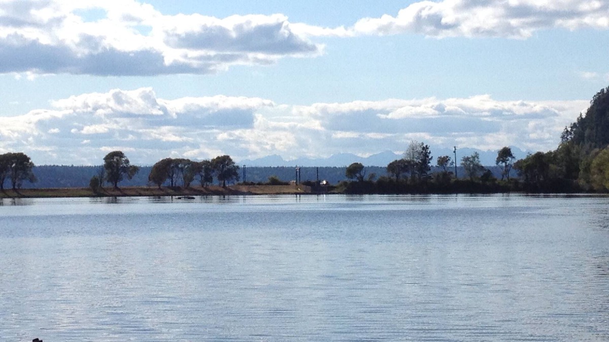 Longbranch Cabin | Peaceful Waterfront Cove Cabin with Canoe and SUPs, Perfect for Summer
