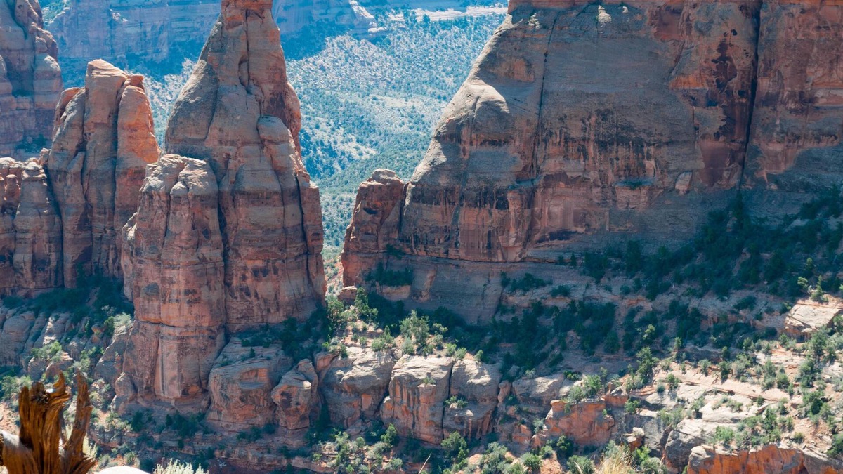 Fruita House | Peach House II: Outdoor Dining, Firepit & More!