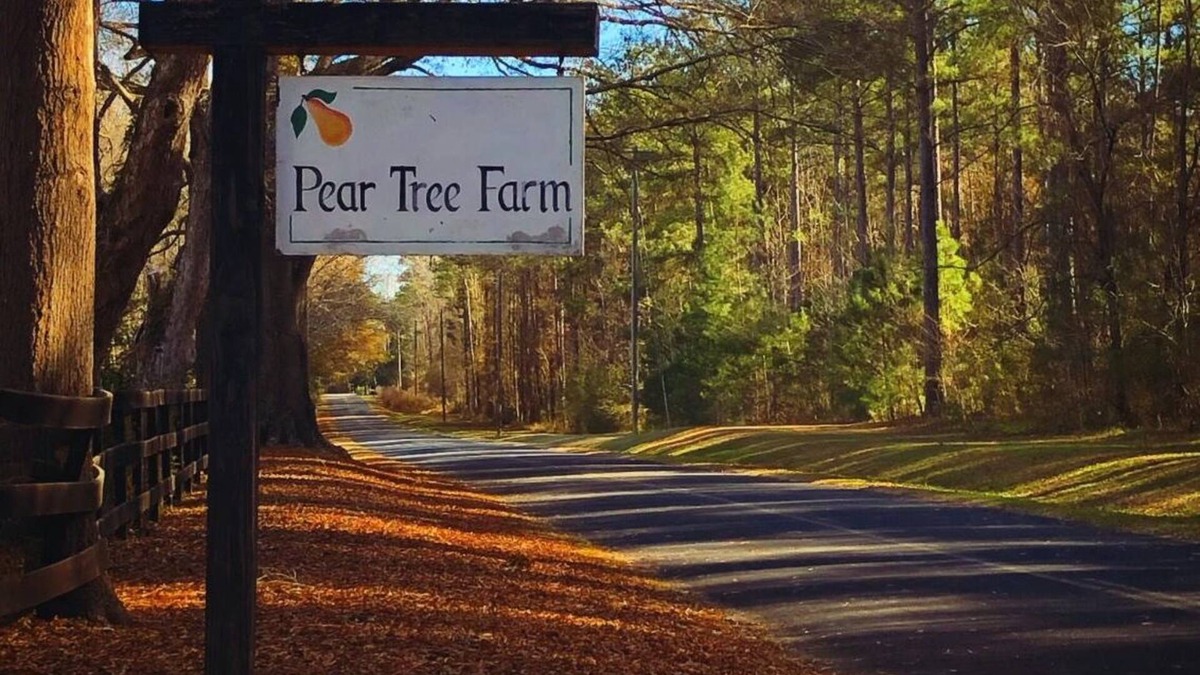 Kershaw County House | Pear Tree Farm. Peaceful, Country living at its best. 12 stables. Pet Friendly