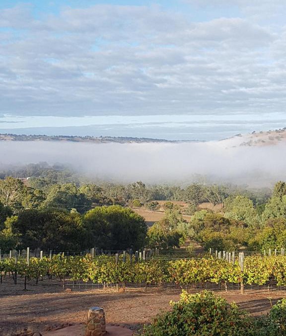 West Toodyay Bed & Breakfast | Pecan Hill BNB