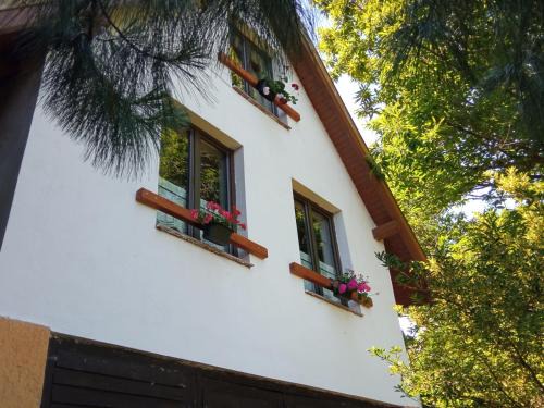 Velem House | Pele vendégház