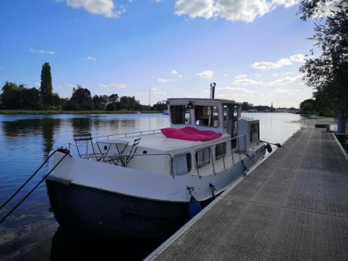 Saint-Jean-de-Losne Boat Rental | Penichette habitable max 4-5 pers terrasse vue sur l'eau ST JEAN DE LOSNE