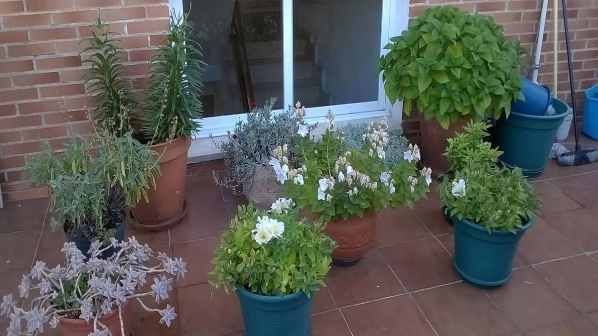 Miranda de Ebro House | Pensión Las Matillas