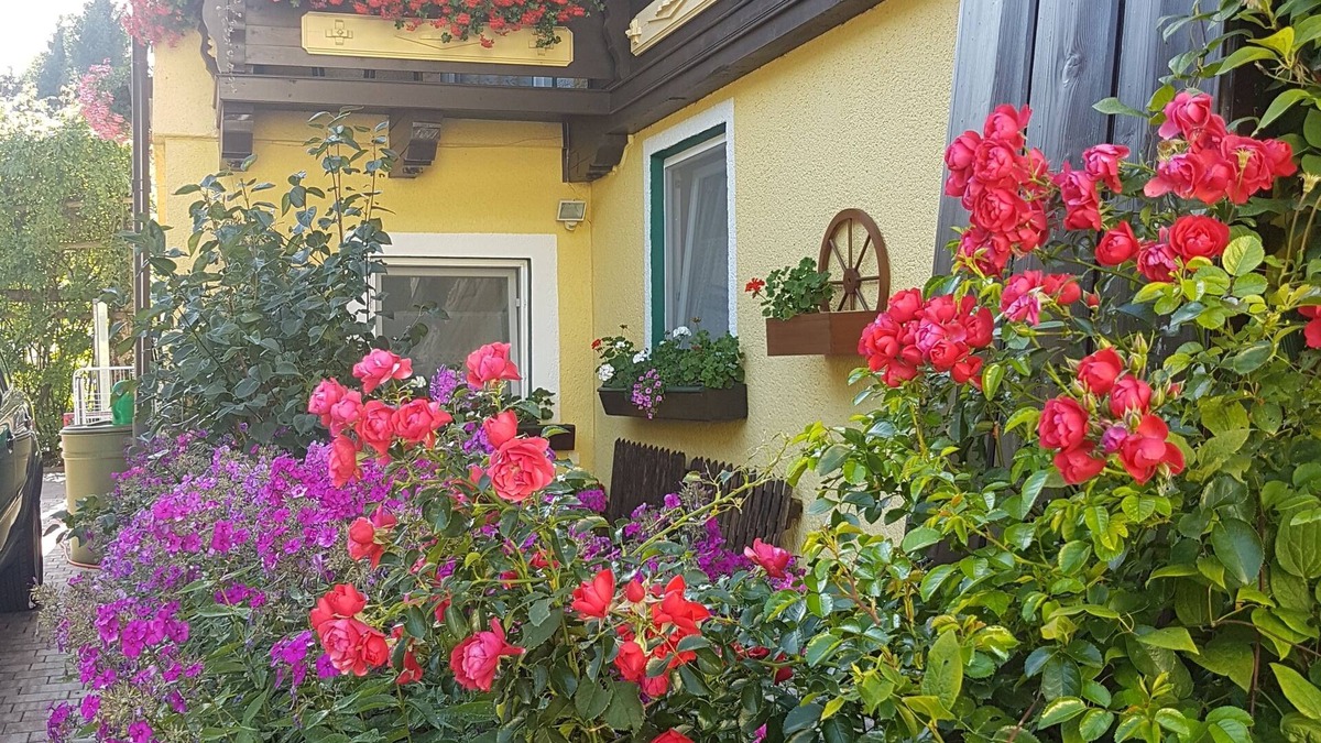 Lungoetz House | Pension Haus Rohrmoser