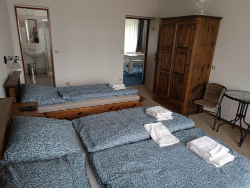 Hluboka nad Vltavou House | Pension Hluboká