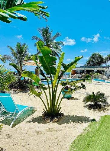 Teahupoo Apartment | Pension Irivai appartement "Uparu" 1 chambre bord de mer