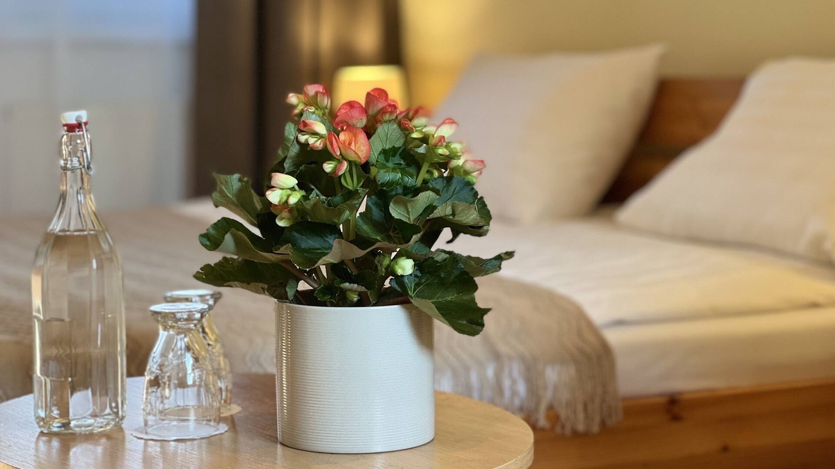 Cesnovice House | Pension Marislav