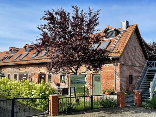 Mochow Apartment | Pension Mochow