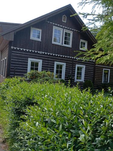 Velka Upa House | Pension Slunečnice
