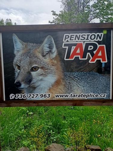 Teplice nad Metuji House | pension TARA