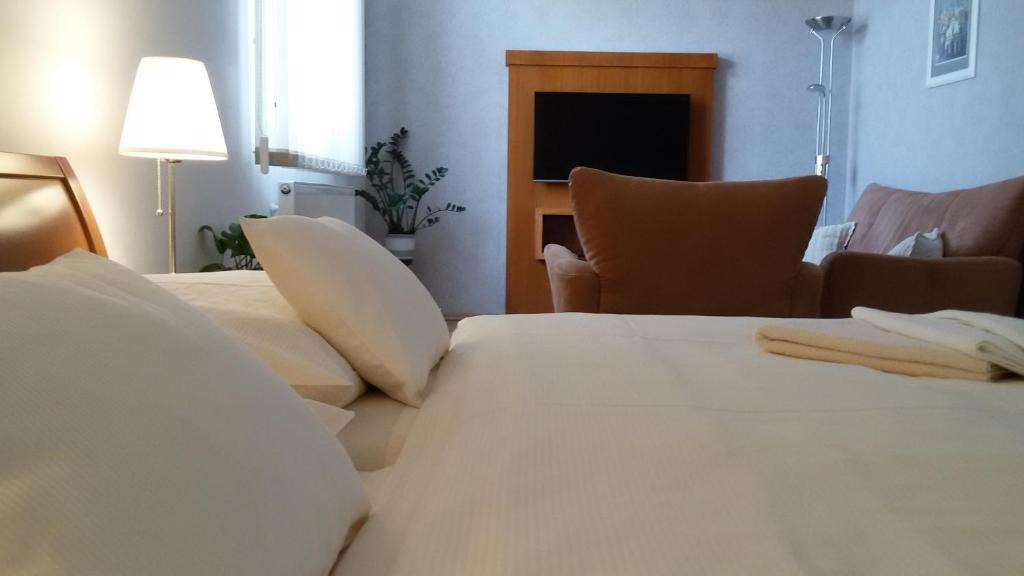 Hradec Kralove House | Pension U Labe