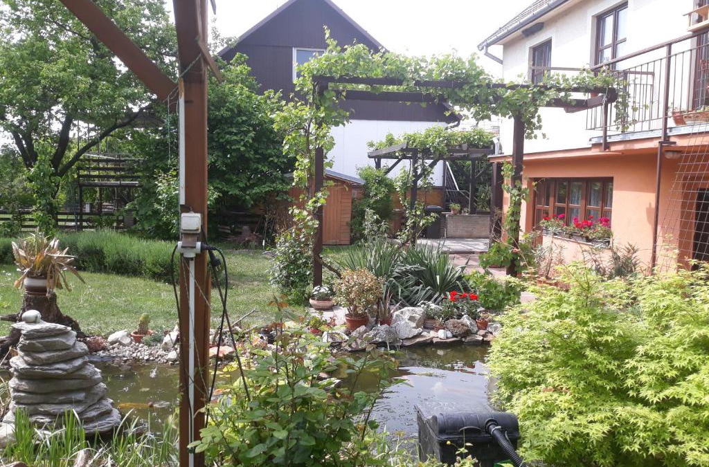 Mikulov House | Pension Zelený strom