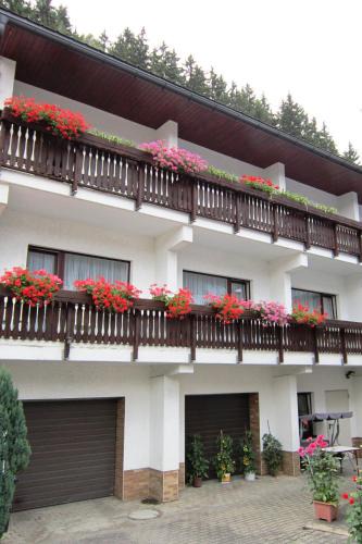 Katzhutte House | Pension zum Ritter
