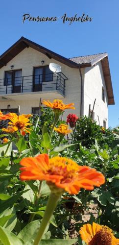Izvoarele House | PENSIUNEA AGROTURISTICĂ ANGHELIKI