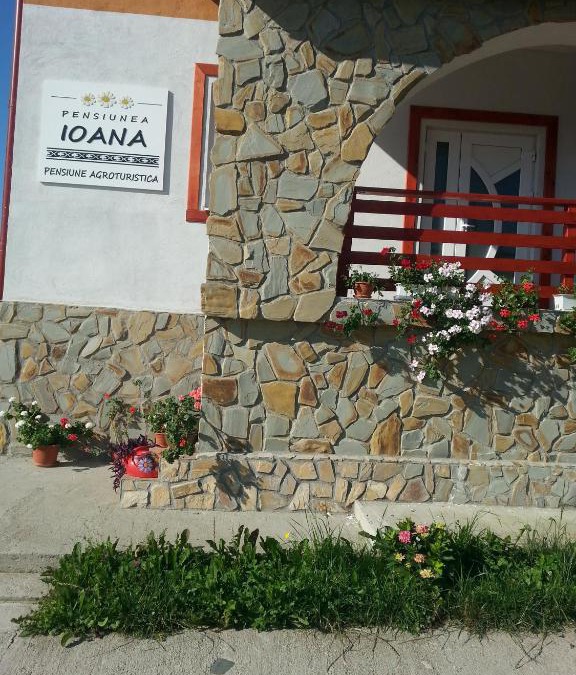 Slamnesti House | Pensiunea Agroturistica Ioana