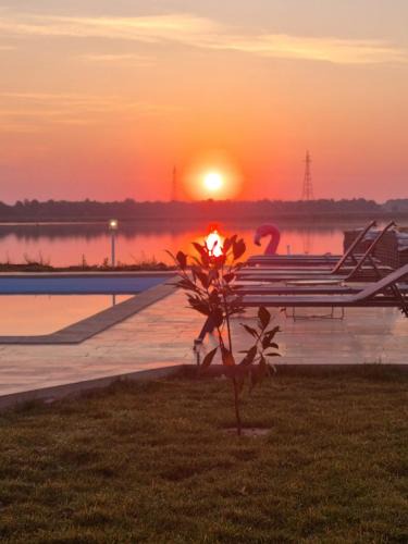 Murighiol House | Pensiunea Aventurin