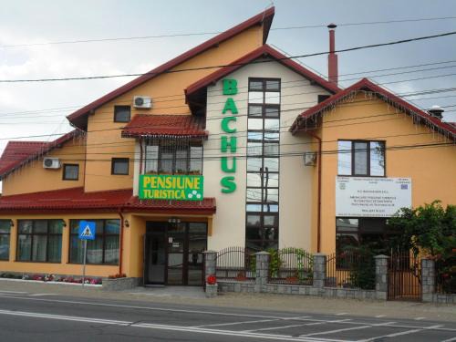 Piatra Neamt House | Pensiunea Bachus