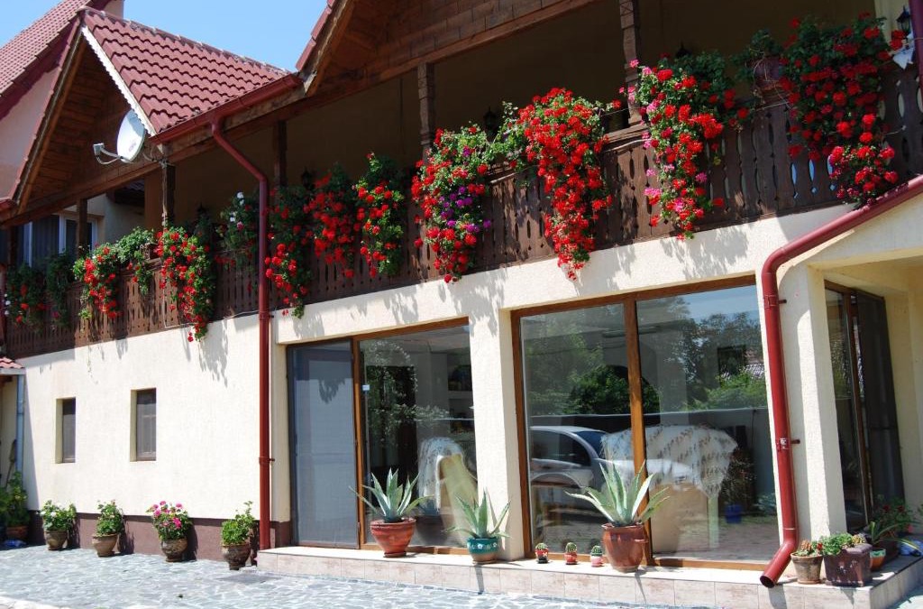 Horezu House | Pensiunea Casa Filoxenia