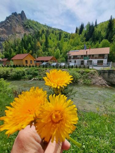 Bicaz-Chei House | Pensiunea Cheile Șugăului