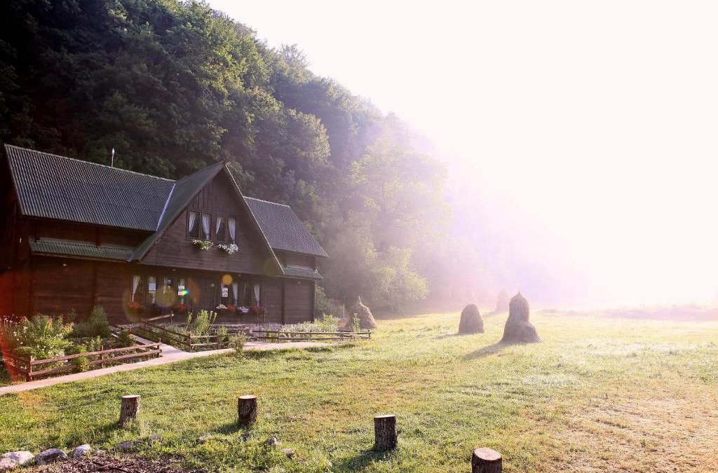 Bosorod House | Pensiunea Dacica