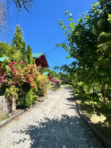 Rona de Sus House | Pensiunea Dealul Hera