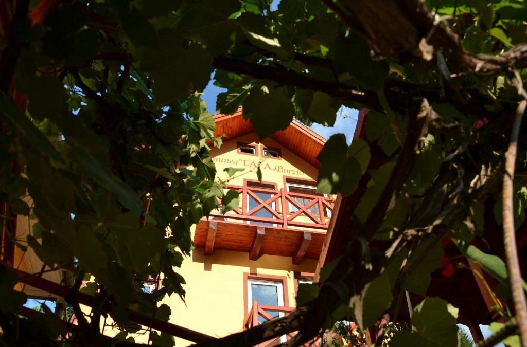 Baile Tusnad House | Pensiunea Lala