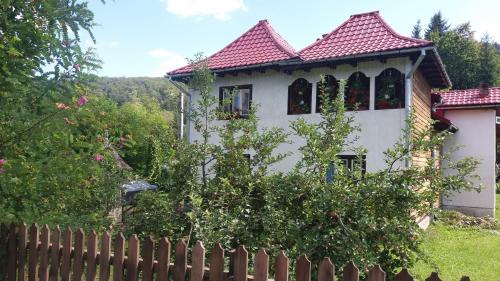 Sucevita House | Pensiunea Letitia