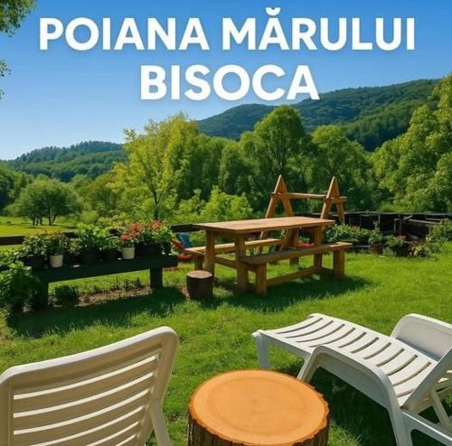 Bisoca House | Pensiunea Poiana Marului - Bisoca