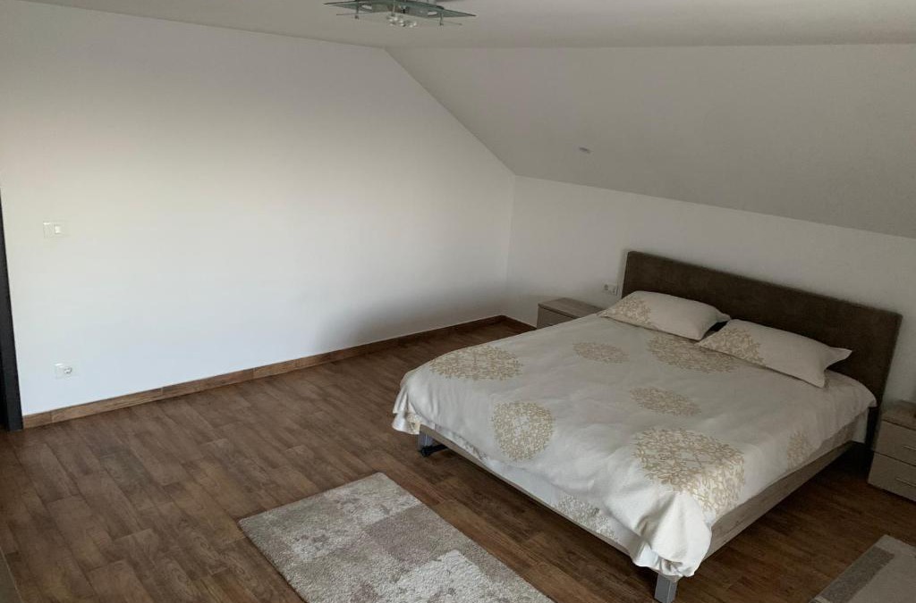 Vintileasca House | Pensiunea Viorita