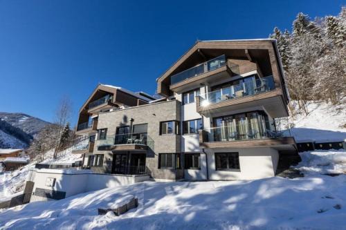 Viehhofen House | Penthouse Schmittenblick Top 4