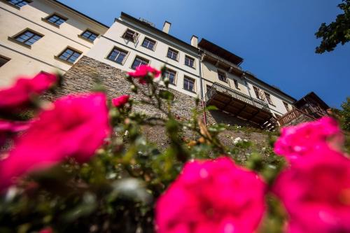 Nove Mesto nad Metuji Apartment | Penzion Šatlava