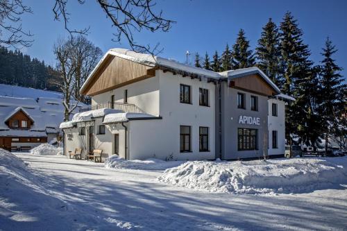 Destne v Orlickych horach House | Penzion Apidae