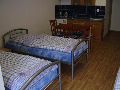 Jindrichuv Hradec House | Penzion Many Peny