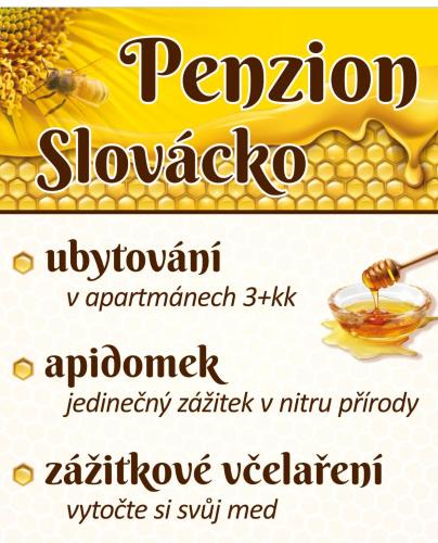 Ostrozska Nova Ves Apartment | Penzion Slovácko 2