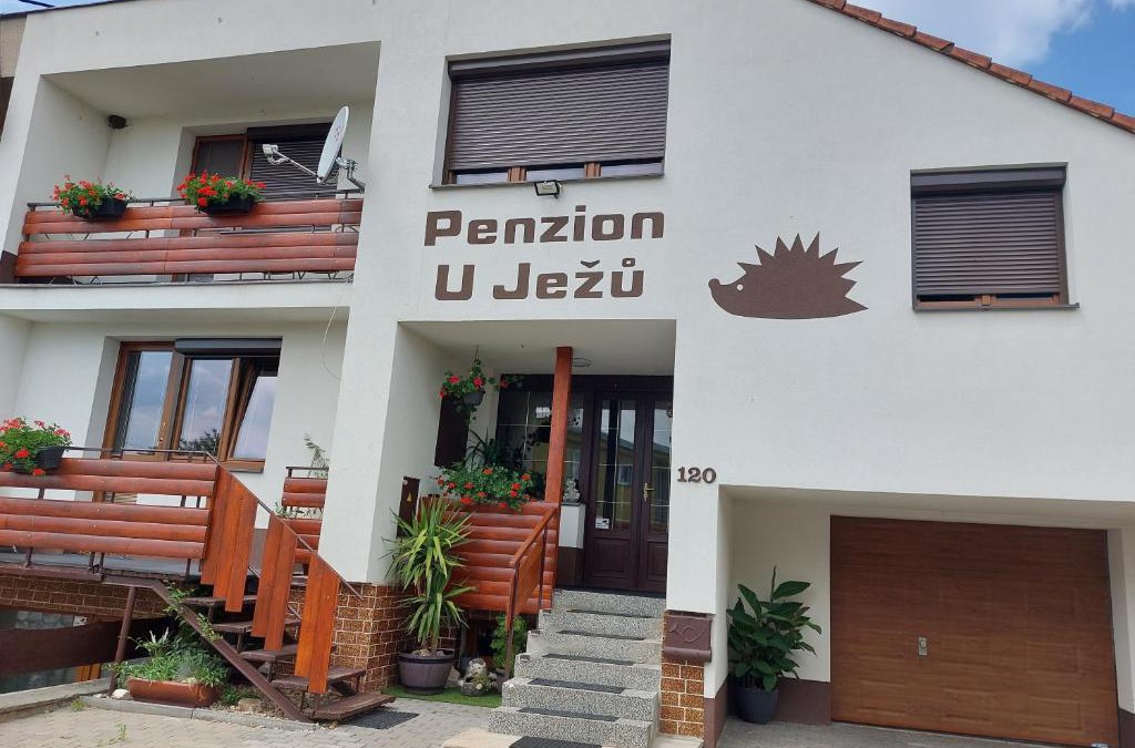 Pasohlavky Villa | Penzion U Ježů - Ubytování
