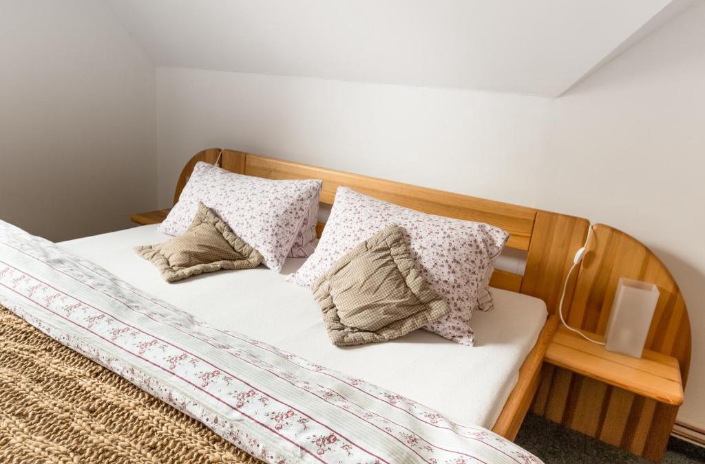 Suchdol nad Luznici House | Penzion u lípy